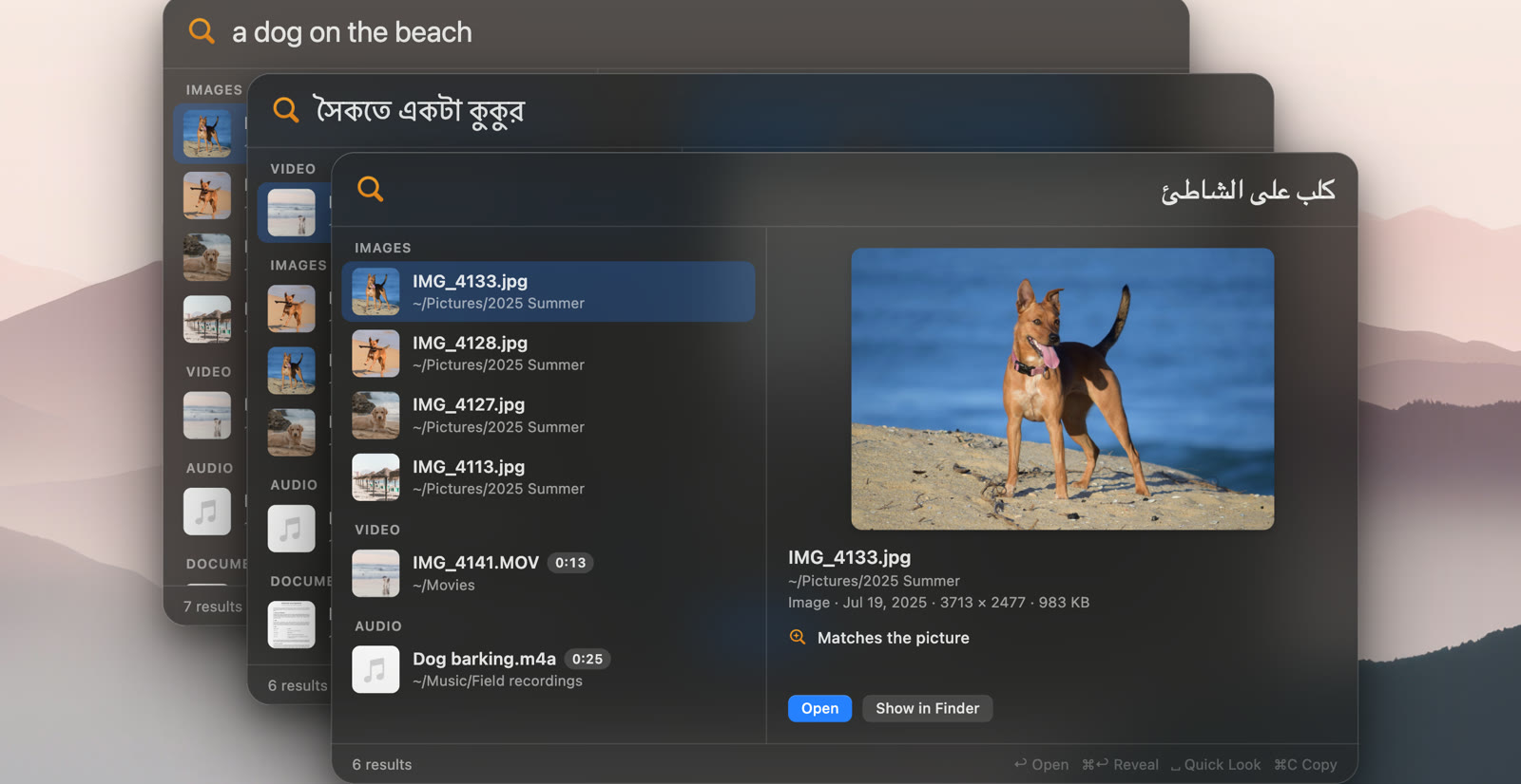 Three DigUp search panels on a Mac with the same search in English, Bengali and Arabic, each finding the photo of a dog on a beach
