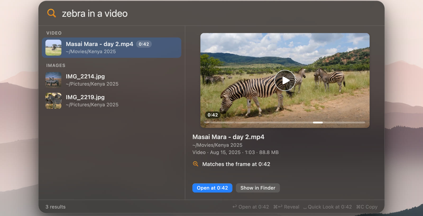 DigUp's search panel on a Mac: the search 'zebra in a video', a video selected on the left, and on the right its frame at 0:42 with the line 'Matches the frame at 0:42'