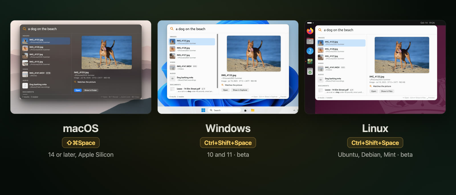 The same search, a dog on the beach, in DigUp on macOS, Windows and Linux, finding the same photo; each with its shortcut: ⇧⌘Space on a Mac, Ctrl+Shift+Space on Windows and Linux